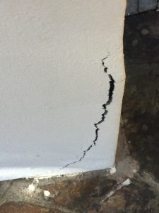IMG-3333